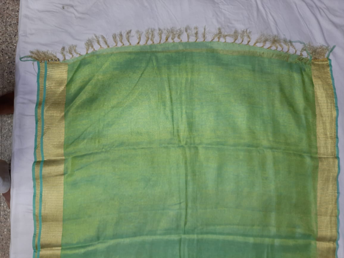 Tissue Linen Embroidery Saree SILK ZONE