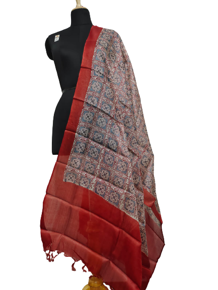 Tussar silk hand block print dupatta SILK ZONE