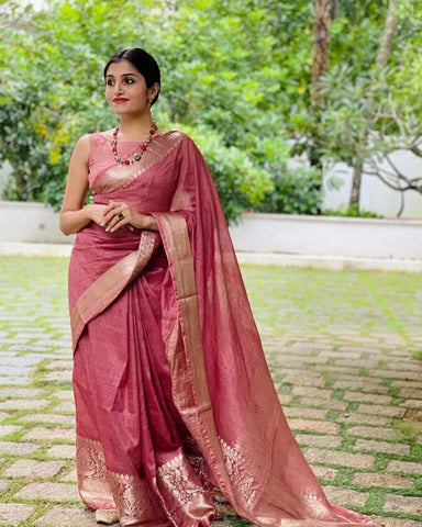 Organza Embroidry working saree