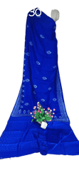 Pure Tussar Silk print saree
