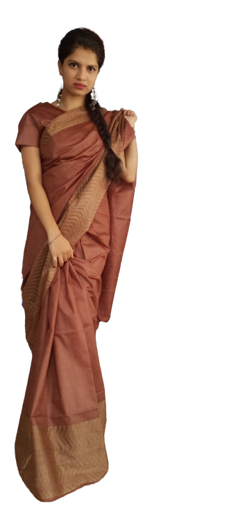 Soft silk jacquard border saree SILK ZONE
