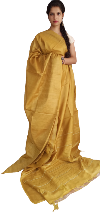 Soft silk jacquard border saree SILK ZONE