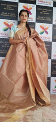 Orgenza Modal Silk Saree SILK ZONE