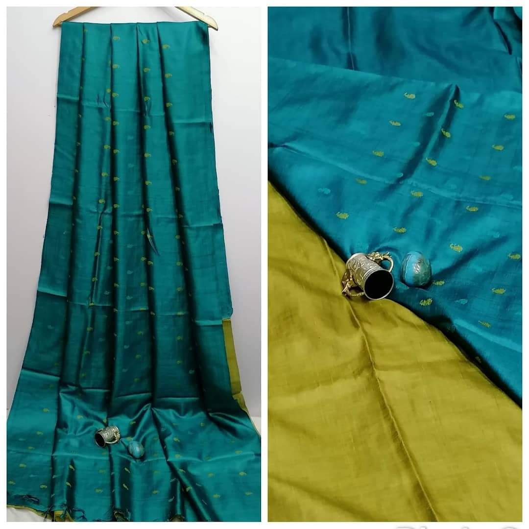 Tussar Silk Embroidery Saree SILK ZONE