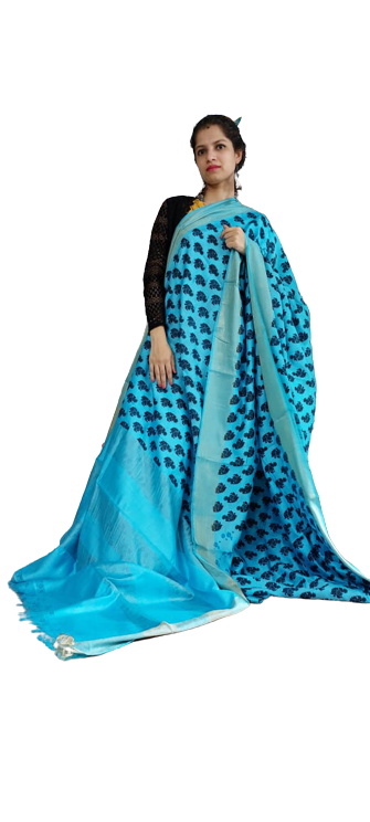 Organza Model Silk Saree SILK ZONE
