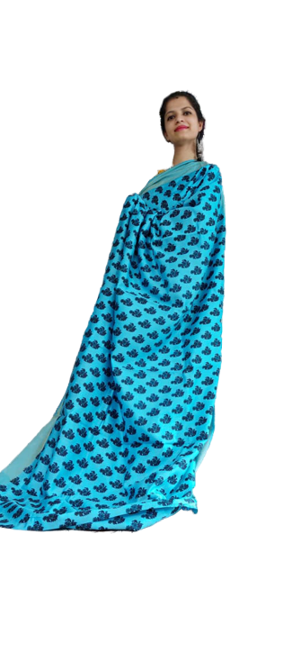 Organza Model Silk Saree SILK ZONE