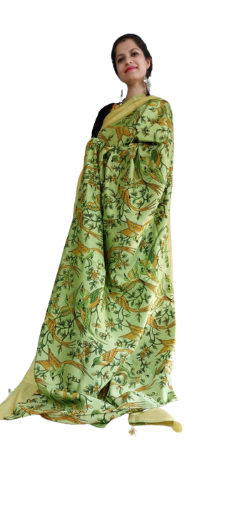 Organza Model Silk Saree SILK ZONE