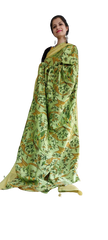 Organza Model Silk Saree SILK ZONE