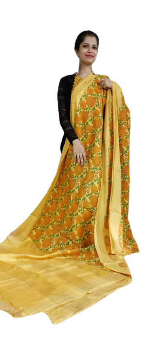 Organza Model Silk Saree SILK ZONE