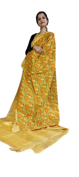 Organza Model Silk Saree SILK ZONE