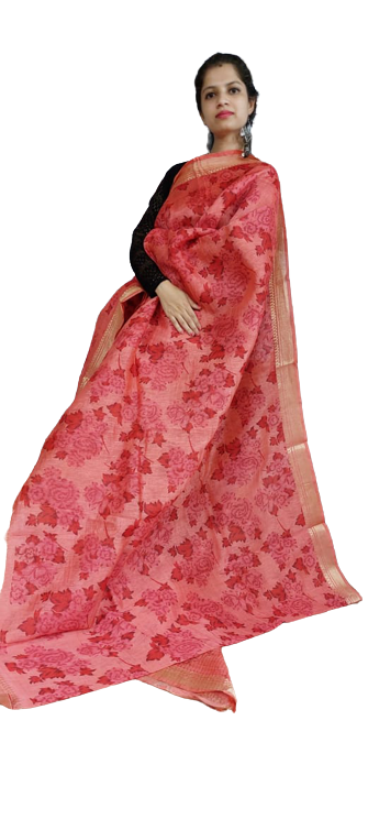 Organza Silk Linen Saree SILK ZONE