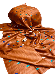 Tussar Handloom Silk Embroidery Saree SILK ZONE