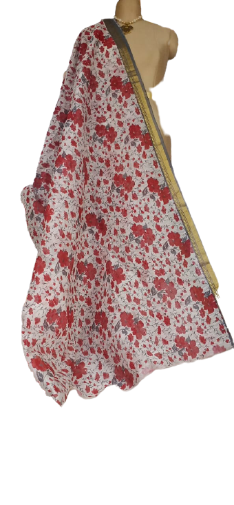 Organza Silk Linen Saree SILK ZONE