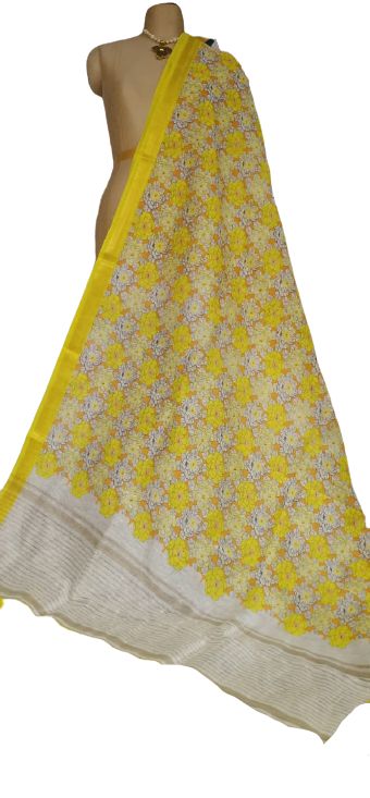 Organza Silk Linen Saree SILK ZONE