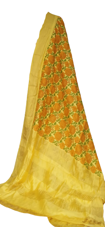 Organza Model Silk Saree SILK ZONE