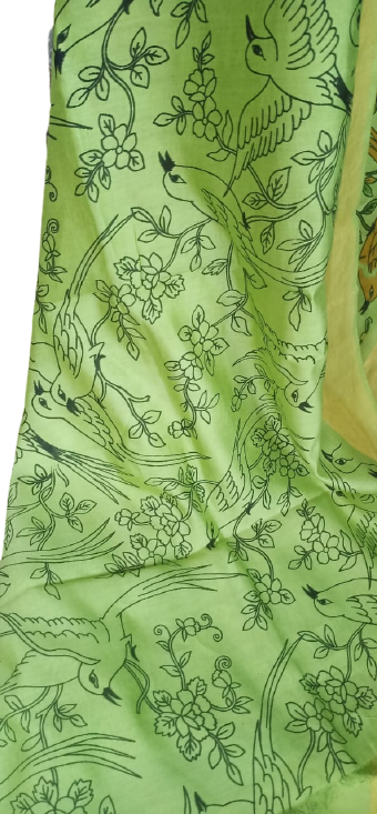 Organza Model Silk Saree SILK ZONE