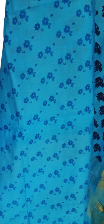 Organza Model Silk Saree SILK ZONE