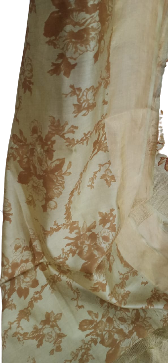 Organza Model Silk Saree SILK ZONE