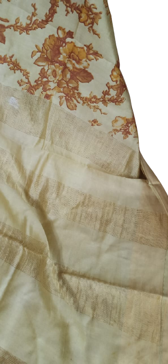 Organza Model Silk Saree SILK ZONE