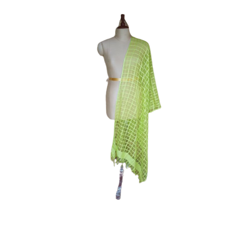 Organza jute dupatta M J HANDLOOMS