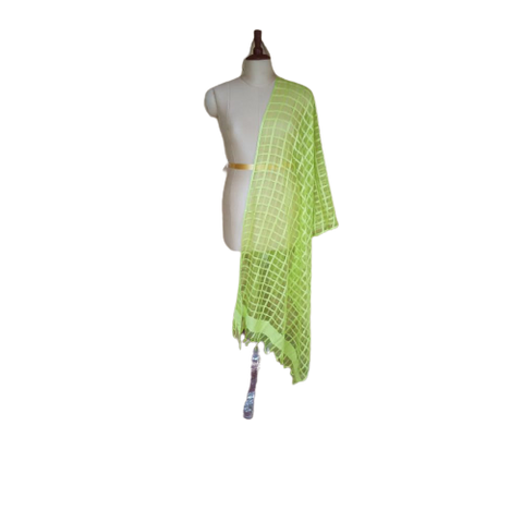 Organza jute dupatta M J HANDLOOMS