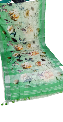 Linen digital print saree Yasir