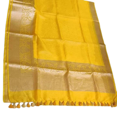 Organza linen Banarasi jacquard saree SILK ZONE