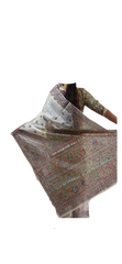 Pure Tussar Silk print saree